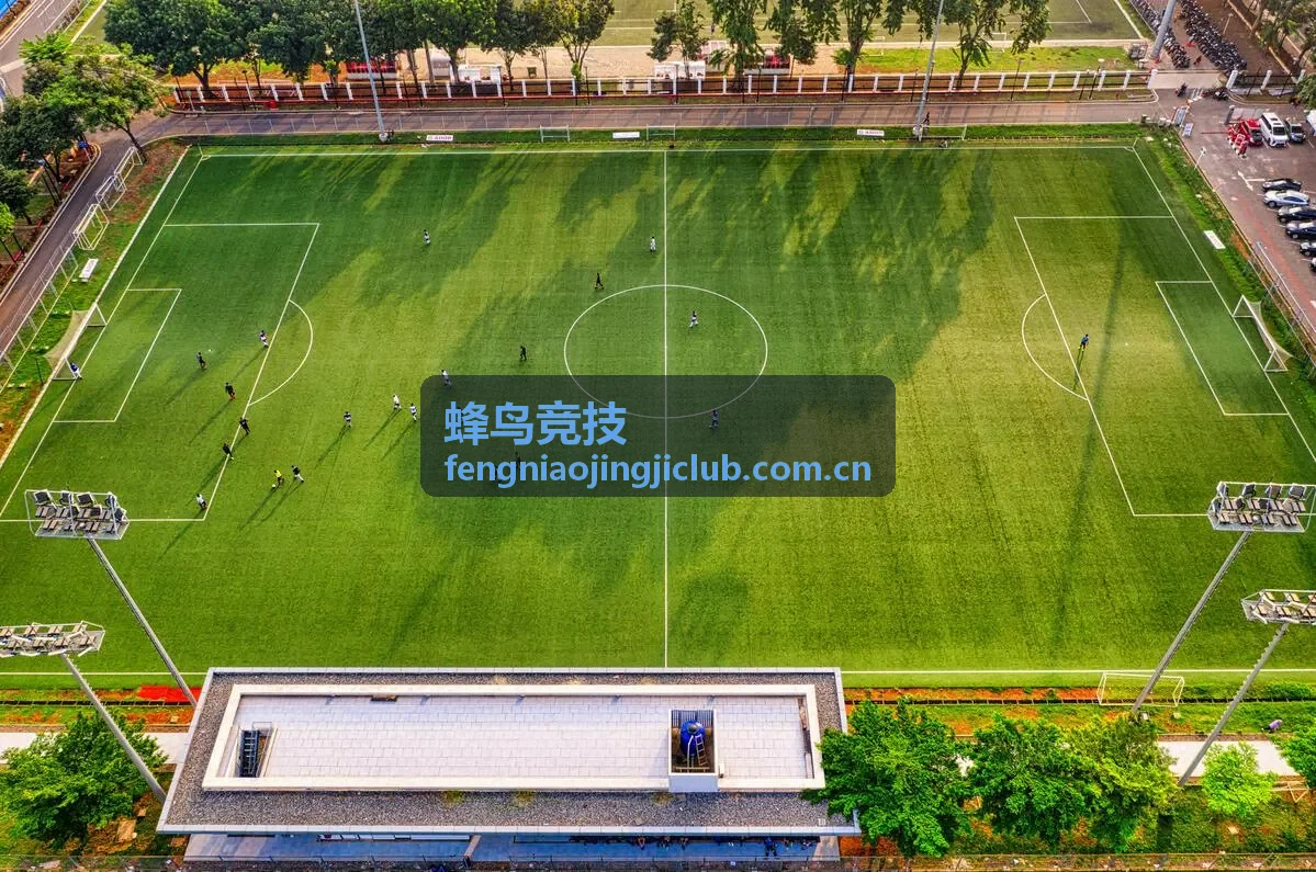 蜂鸟竞技社区俱乐部管理者头像